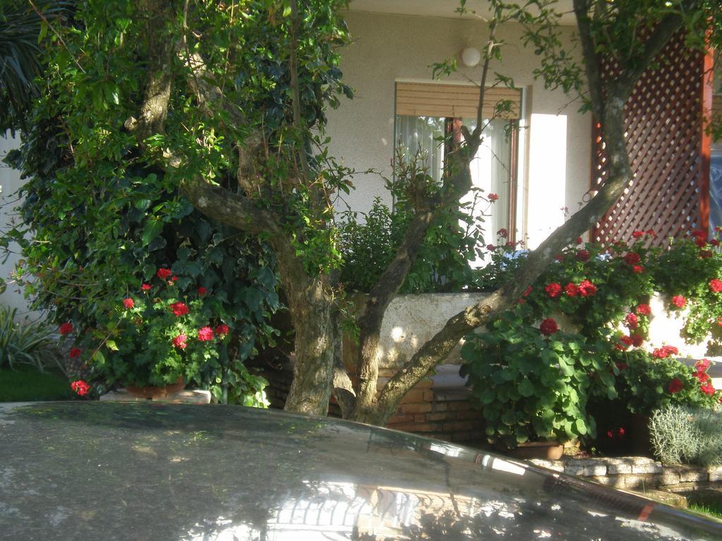 Apartment Ms Pula Dış mekan fotoğraf